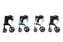 Roll_Motion_fourcoloursside_Whiteback_RGB_72ppi-e1710428105232.webp