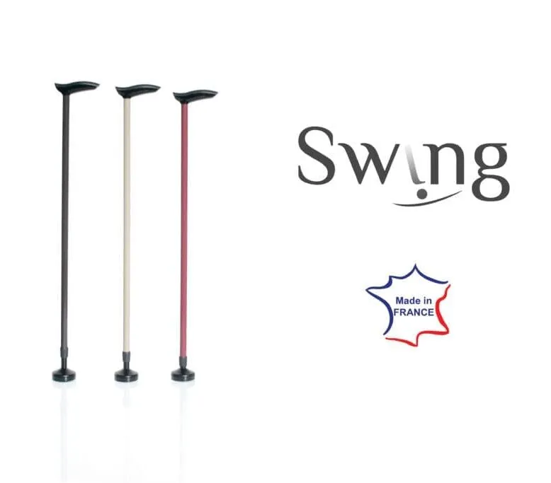 Swing1_logoRVB-e1739884663724.webp