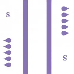 gohy-slip-maxi-small.webp