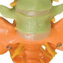 A58-8_07_Colonne-vertebrale-flexible-didactique.webp