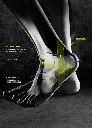 kicx-prophyx-anatomy.webp