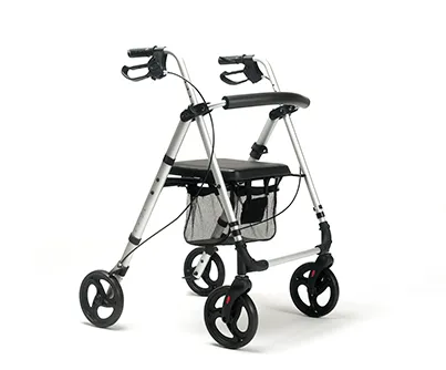 Rollator Eco-Plus (Gris)
