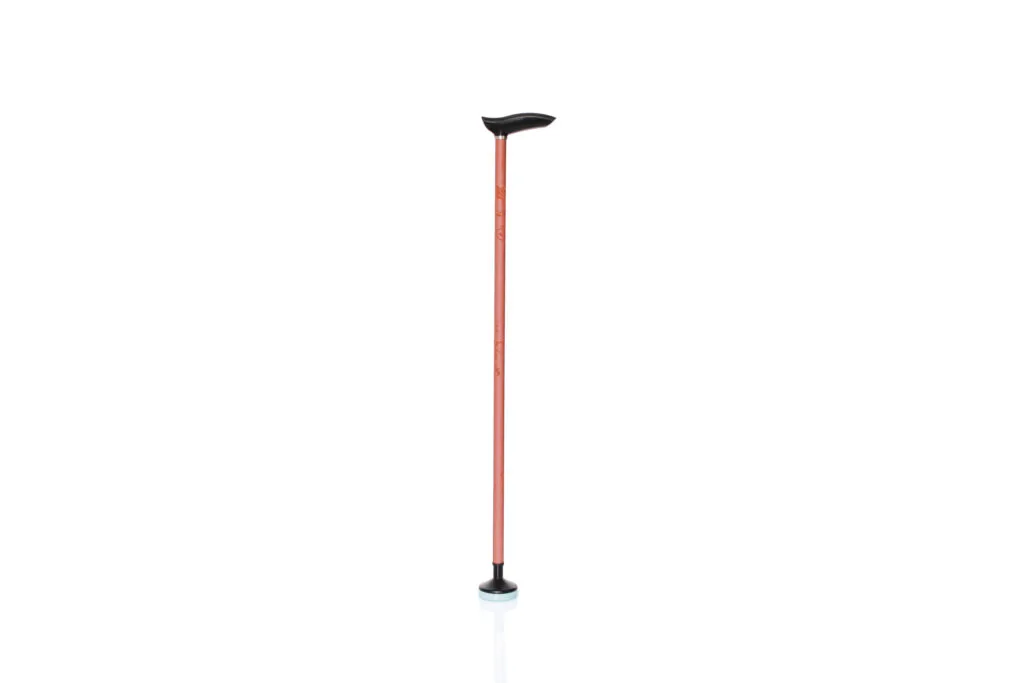 Canne Tango Swing