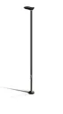 Canne Tango Standard